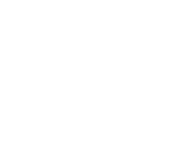 Expertise Best Real - Denver Roofing Team